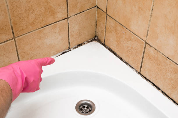 Best Mold Testing  in Beaver Dam, AZ